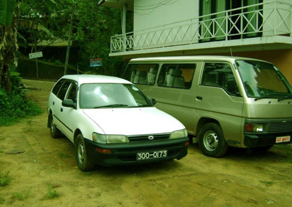 Palm Garden Home Stay Deiyannewela Dış mekan fotoğraf