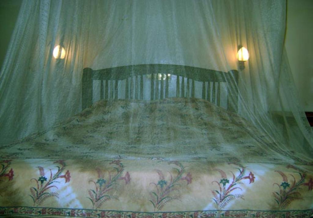 Palm Garden Home Stay Deiyannewela Oda fotoğraf