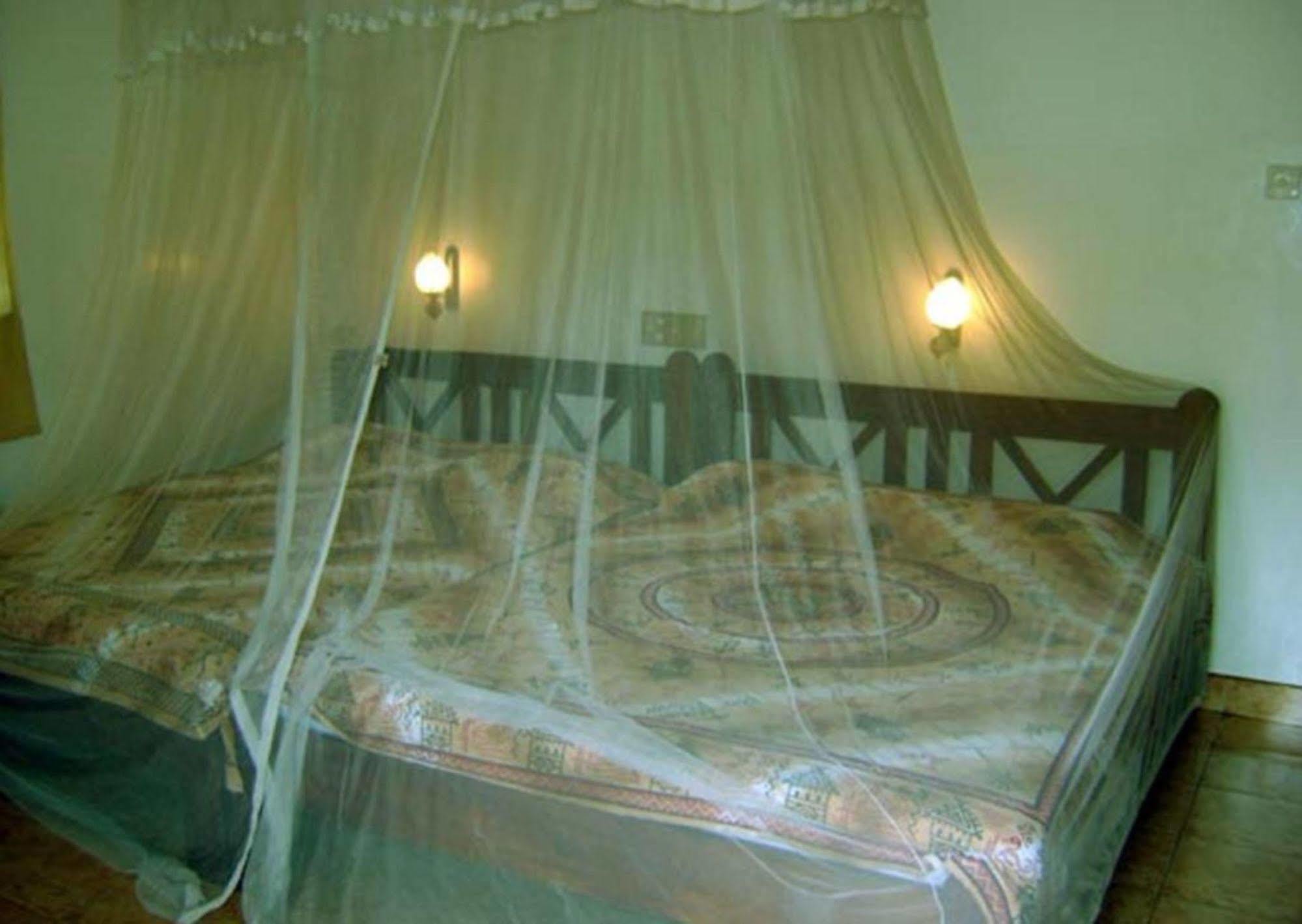 Palm Garden Home Stay Deiyannewela Dış mekan fotoğraf